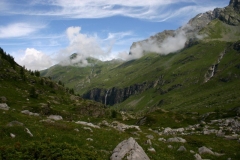 IMG_7967