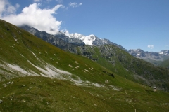 IMG_8007