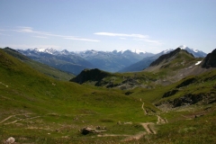 IMG_8020