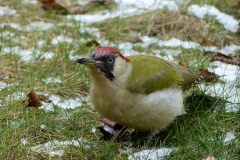 P1000097_800