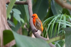 P1000902