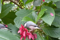P1000905