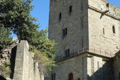 DSC00121