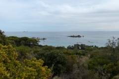 P1020213