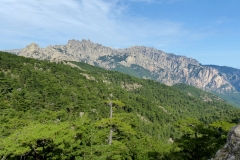 P1020223