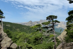 P1020227