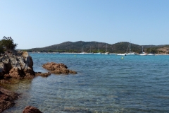 P1020312