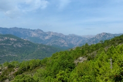 P1020320