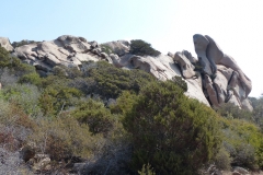 P1020330