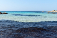P1020332