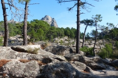 P1020335