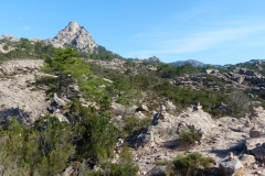 P1020336
