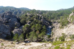 P1020339