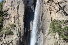 P1020342