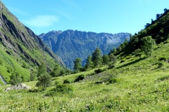 P1000663