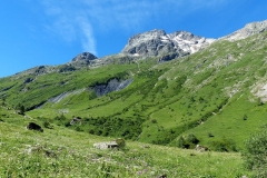 P1000664