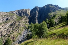 P1000677