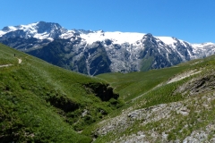 P1000696