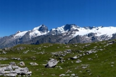 P1000704
