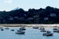 P1000956