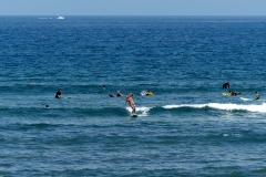P1000964