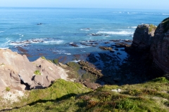 P1000974