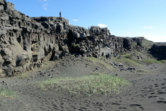 DSC01251