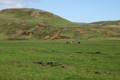 DSC01290