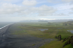 DSC01323