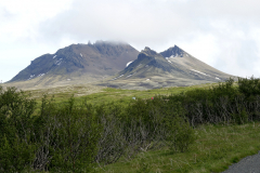 DSC01436