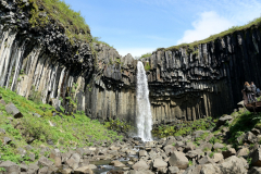 DSC01441