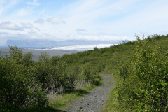DSC01446