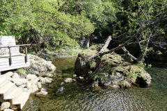 DSC01468
