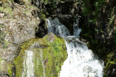 DSC01472