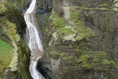 DSC01503