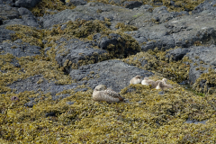 DSC01567