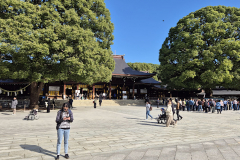 ret_IMG-20241108-WA0002