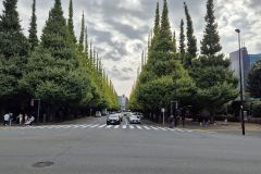 ret_IMG-20241108-WA0003