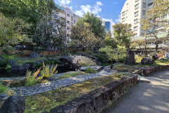 ret_IMG-20241109-WA0003