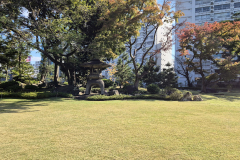 ret_IMG-20241109-WA0004