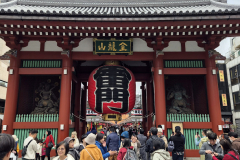 ret_IMG-20241110-WA0000