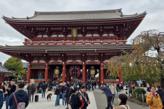 ret_IMG-20241110-WA0004