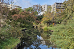 ret_IMG-20241110-WA0007