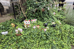 ret_IMG-20241110-WA0012