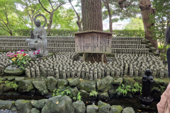 ret_IMG-20241111-WA0001