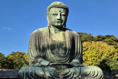 ret_IMG-20241111-WA0003