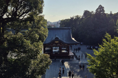 ret_IMG-20241112-WA0006