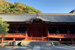 ret_IMG-20241112-WA0008