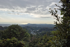 ret_IMG-20241112-WA0011