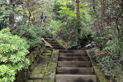 ret_IMG-20241112-WA0012